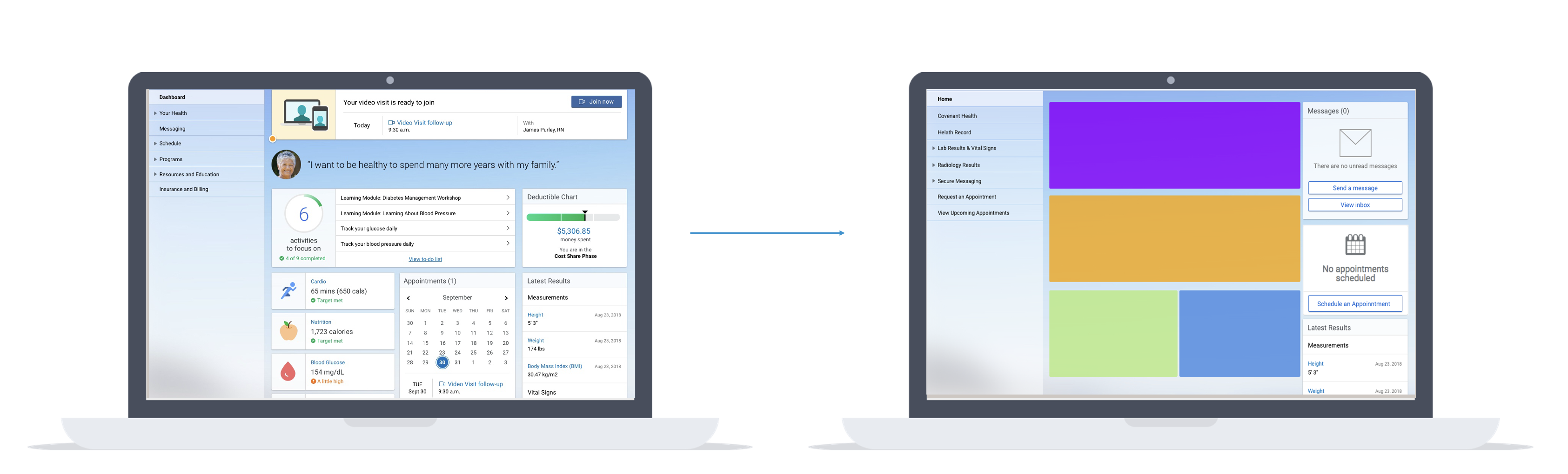 Two laptops side by side: a fully styled HealtheLife dashboard, and the same layout shown as customizable theme regions